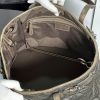 Dior Panarea Tote