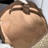Gucci Ophidia Tote