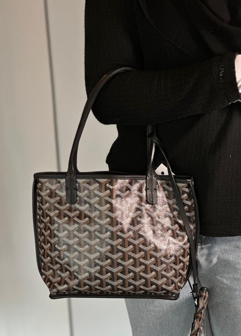 Goyard St ANJOU MINI BAG